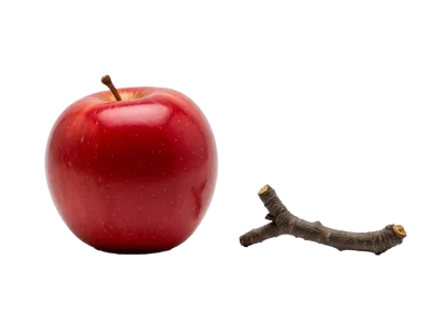 Imagen PNG para descargar